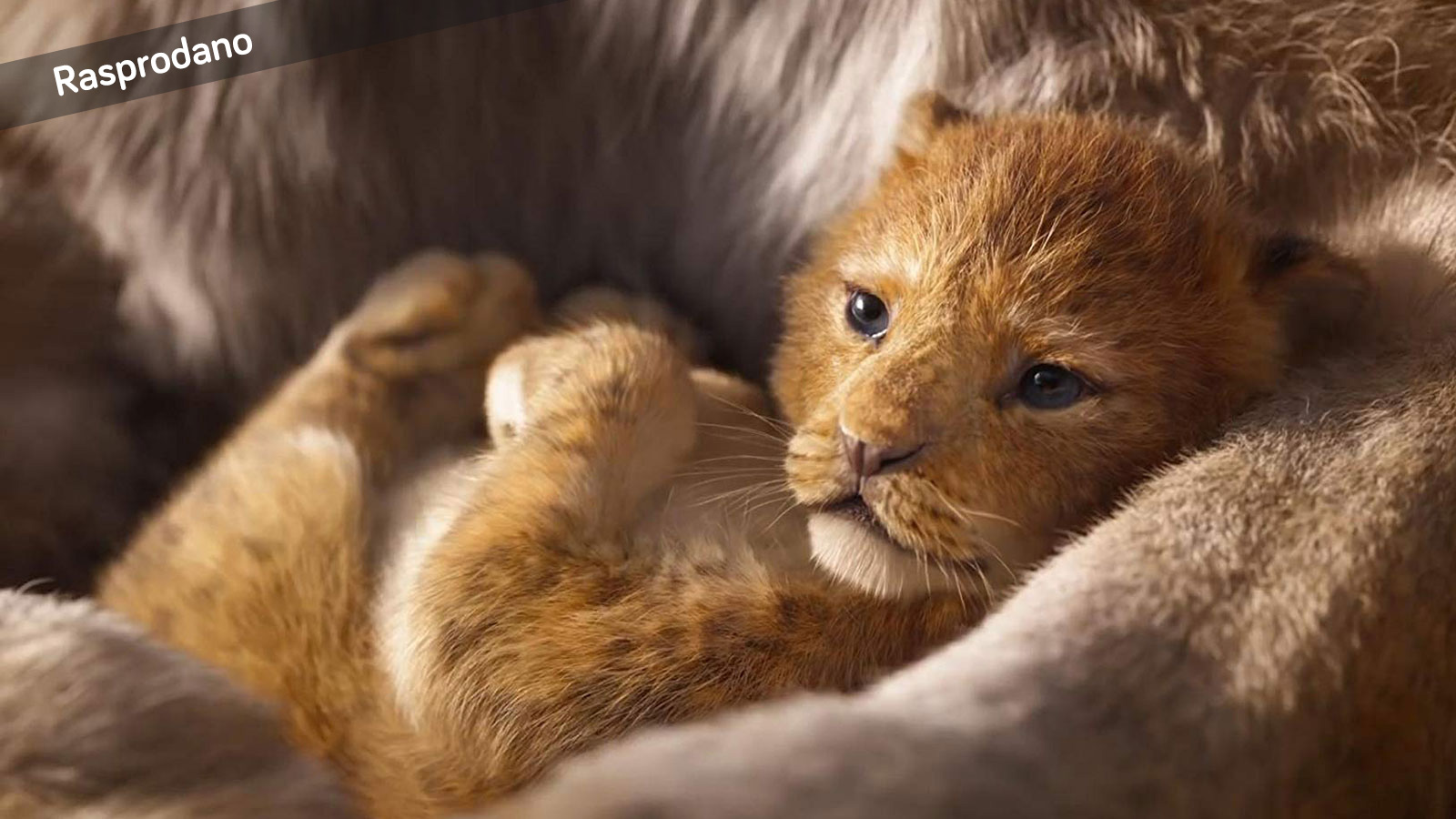 thelionkingevent