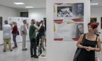 IMG 6483