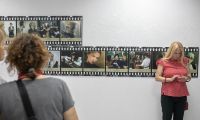 IMG 6487