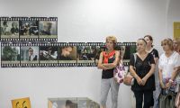 IMG 6539