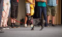 IMG 7898